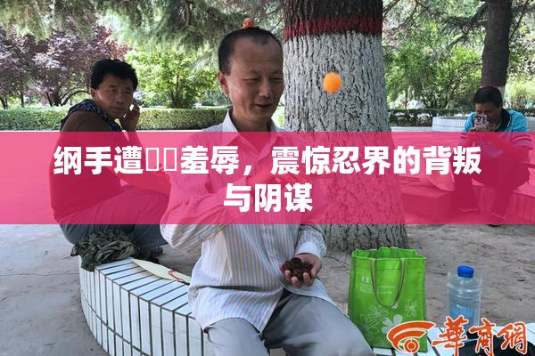 纲手遭❌‌羞辱，震惊忍界的背叛与阴谋