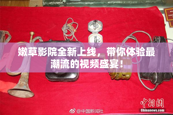 嫩草影院全新上线，带你体验最潮流的视频盛宴！