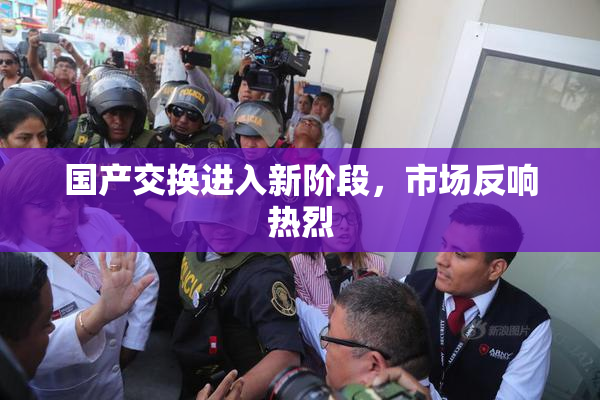 国产交换进入新阶段，市场反响热烈