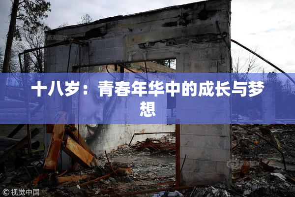 十八岁：青春年华中的成长与梦想
