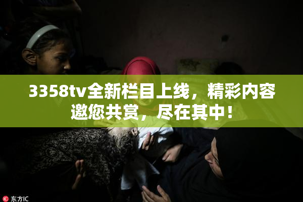 3358tv全新栏目上线，精彩内容邀您共赏，尽在其中！