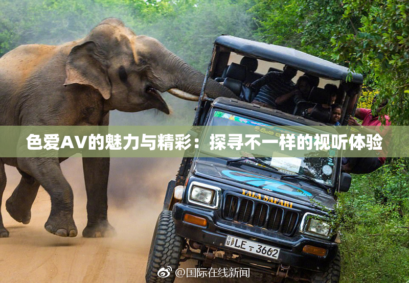 色爱AV的魅力与精彩：探寻不一样的视听体验
