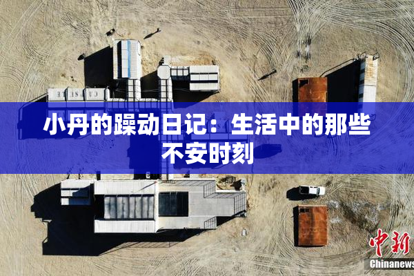 小丹的躁动日记：生活中的那些不安时刻