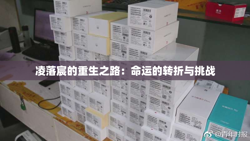 凌落宸的重生之路：命运的转折与挑战