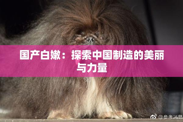 国产白嫩：探索中国制造的美丽与力量