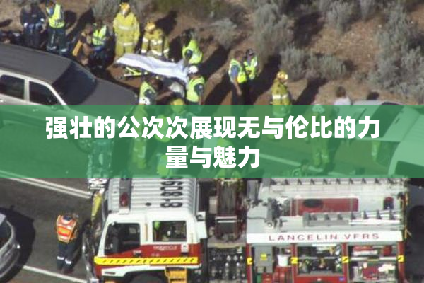 强壮的公次次展现无与伦比的力量与魅力