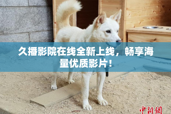 久播影院在线全新上线，畅享海量优质影片！