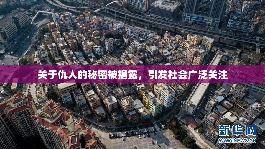 关于仇人的秘密被揭露，引发社会广泛关注