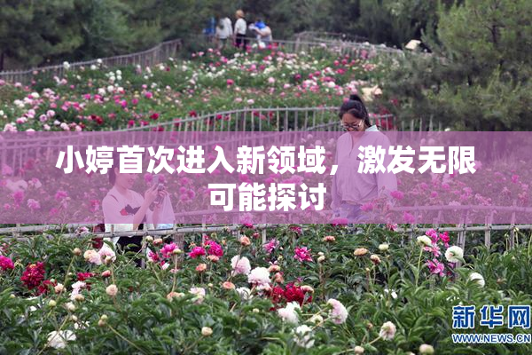 小婷首次进入新领域，激发无限可能探讨
