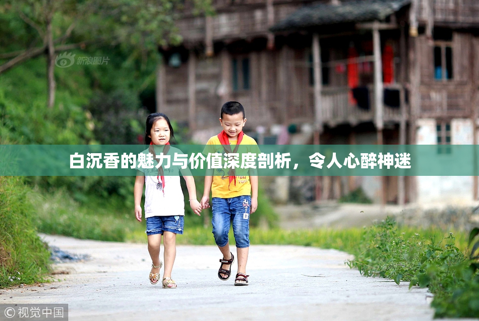 白沉香的魅力与价值深度剖析，令人心醉神迷
