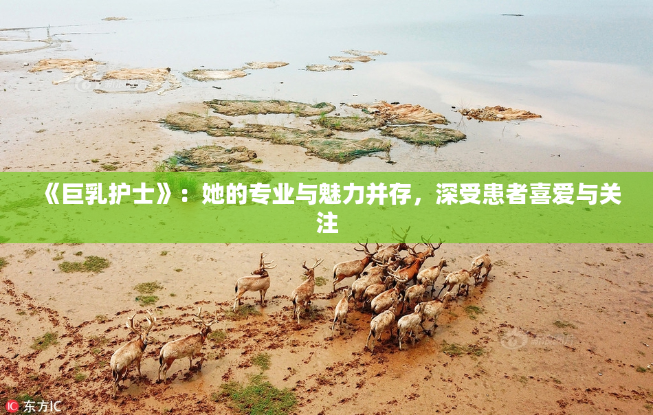 《巨乳护士》：她的专业与魅力并存，深受患者喜爱与关注