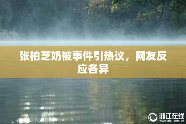 张柏芝奶被事件引热议，网友反应各异