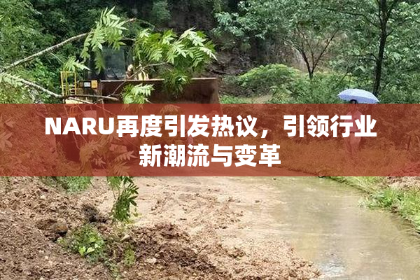 NARU再度引发热议，引领行业新潮流与变革