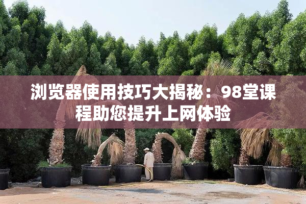 浏览器使用技巧大揭秘：98堂课程助您提升上网体验