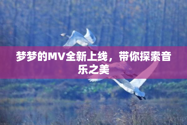 梦梦的MV全新上线，带你探索音乐之美