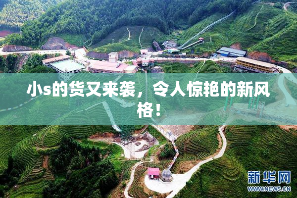 小s的货又来袭，令人惊艳的新风格！