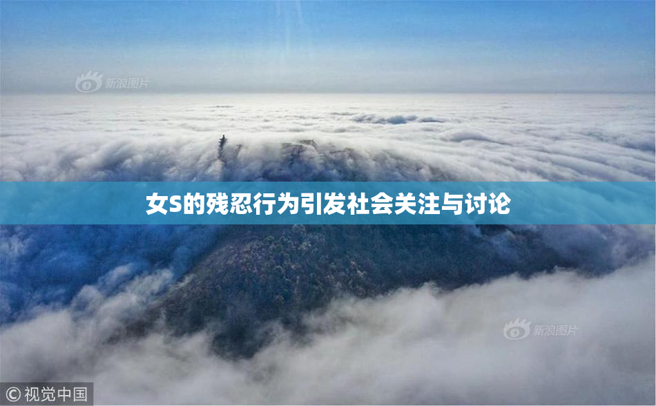 女S的残忍行为引发社会关注与讨论