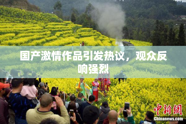 国产激情作品引发热议，观众反响强烈