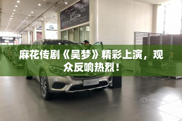 麻花传剧《吴梦》精彩上演，观众反响热烈！