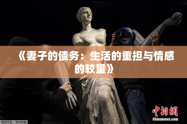 《妻子的债务：生活的重担与情感的较量》