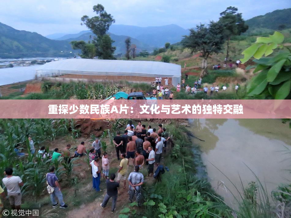 重探少数民族A片：文化与艺术的独特交融