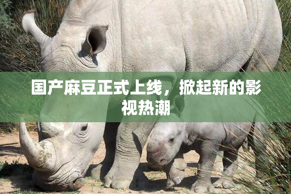 国产麻豆正式上线，掀起新的影视热潮