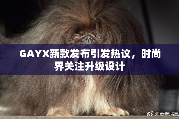GAYX新款发布引发热议，时尚界关注升级设计