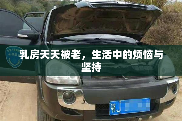 乳房天天被老，生活中的烦恼与坚持