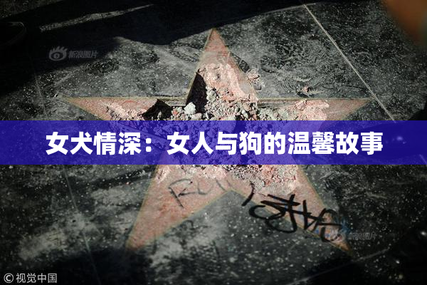 女犬情深：女人与狗的温馨故事