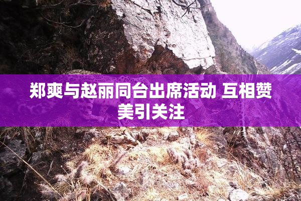 郑爽与赵丽同台出席活动 互相赞美引关注