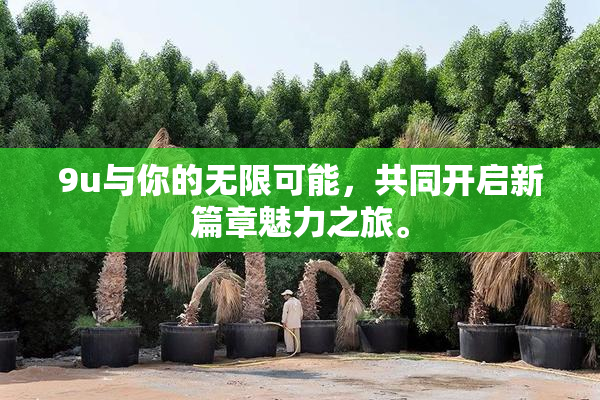 9u与你的无限可能，共同开启新篇章魅力之旅。