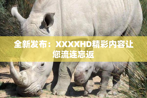 全新发布：XXXXHD精彩内容让您流连忘返