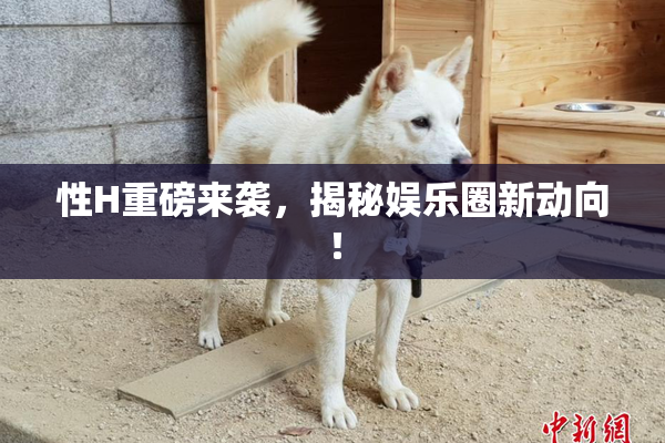 性H重磅来袭，揭秘娱乐圈新动向！