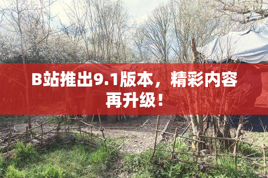 B站推出9.1版本，精彩内容再升级！