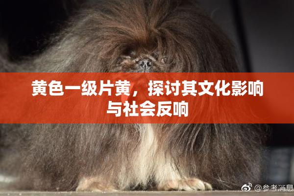 黄色一级片黄，探讨其文化影响与社会反响