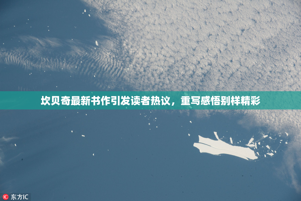 坎贝奇最新书作引发读者热议，重写感悟别样精彩