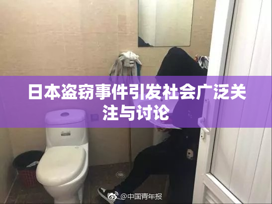 日本盗窃事件引发社会广泛关注与讨论