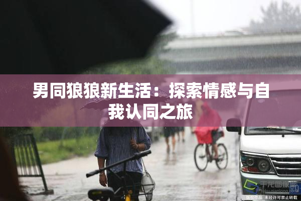 男同狼狼新生活：探索情感与自我认同之旅