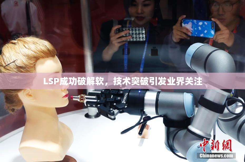 LSP成功破解软，技术突破引发业界关注