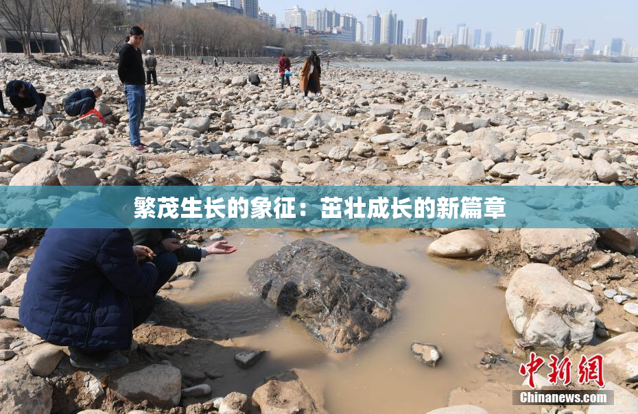 繁茂生长的象征：茁壮成长的新篇章