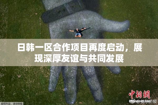 日韩一区合作项目再度启动，展现深厚友谊与共同发展