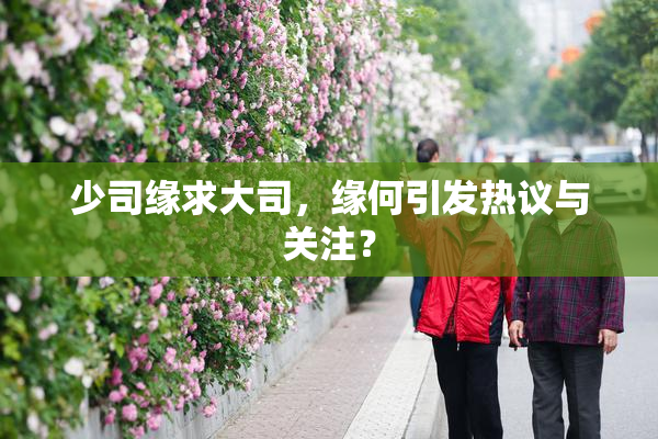 少司缘求大司，缘何引发热议与关注？