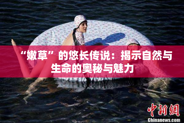 “嫩草”的悠长传说：揭示自然与生命的奥秘与魅力