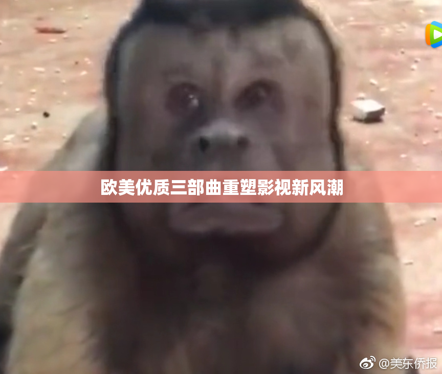 欧美优质三部曲重塑影视新风潮