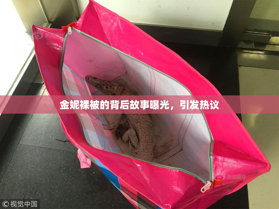 金妮裸被的背后故事曝光，引发热议