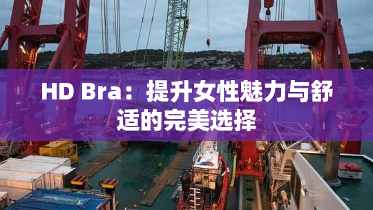 HD Bra：提升女性魅力与舒适的完美选择