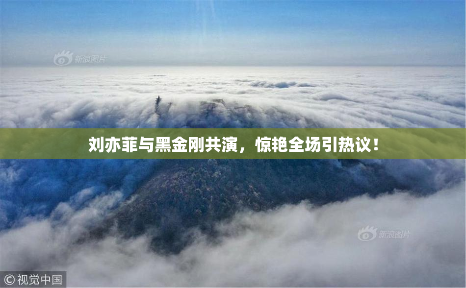 刘亦菲与黑金刚共演，惊艳全场引热议！