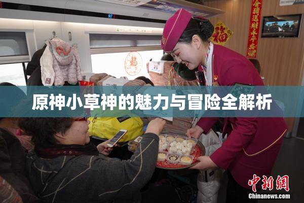 原神小草神的魅力与冒险全解析