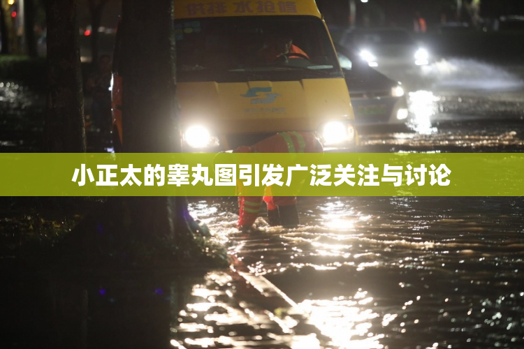 小正太的睾丸图引发广泛关注与讨论
