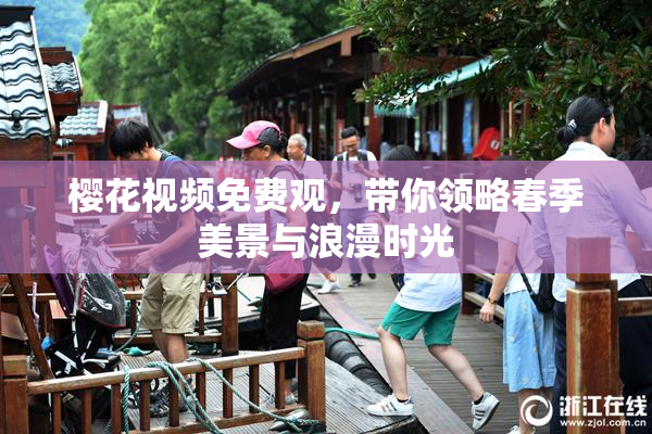 樱花视频免费观，带你领略春季美景与浪漫时光